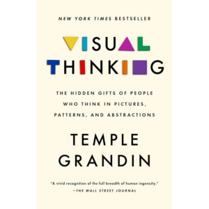 Visual Thinking